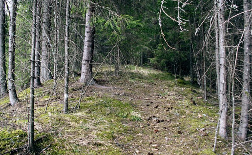 2_Targių ozai (2).jpg